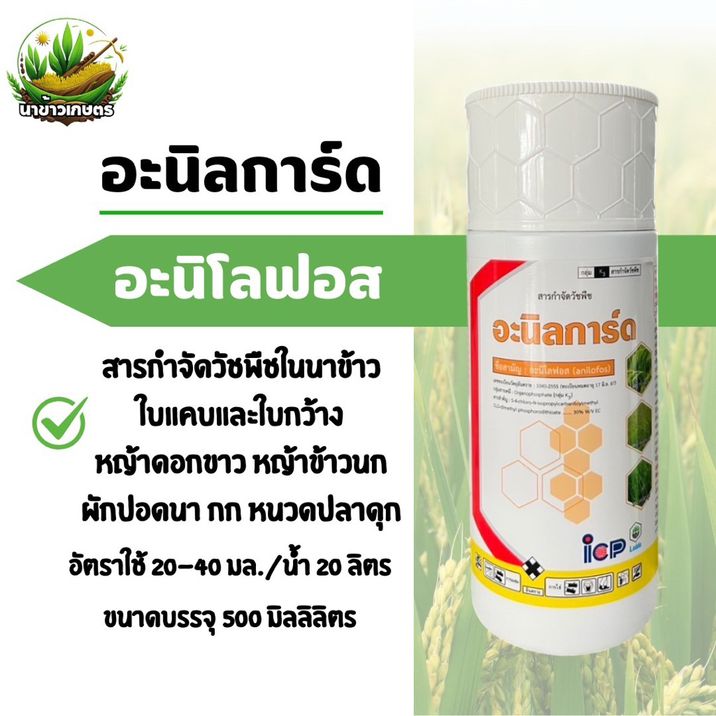 อะนิลการ์ด อะนิโลฟอส 500ซีซี กำจัดหญ้าในนาข้าว ใบแคบและใบกว้าง วัชพืชประเภทกก