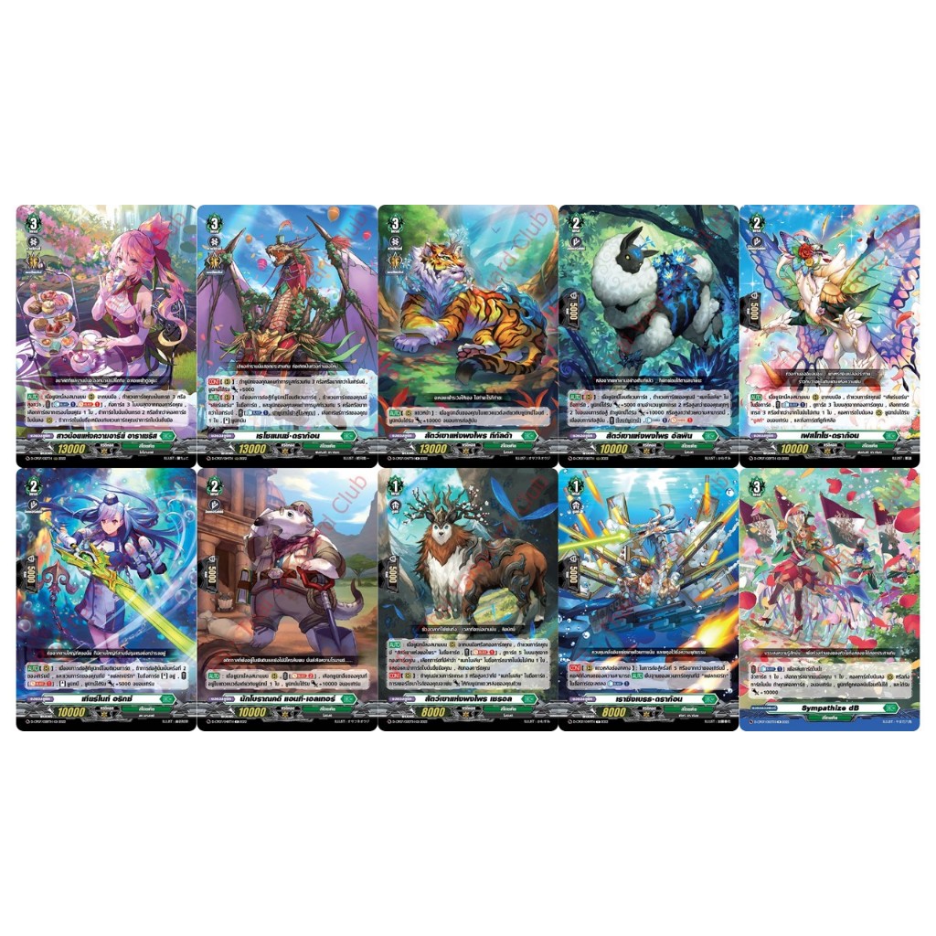 แวนการ์ด D-CP07 สโตยเคีย แยกใบ