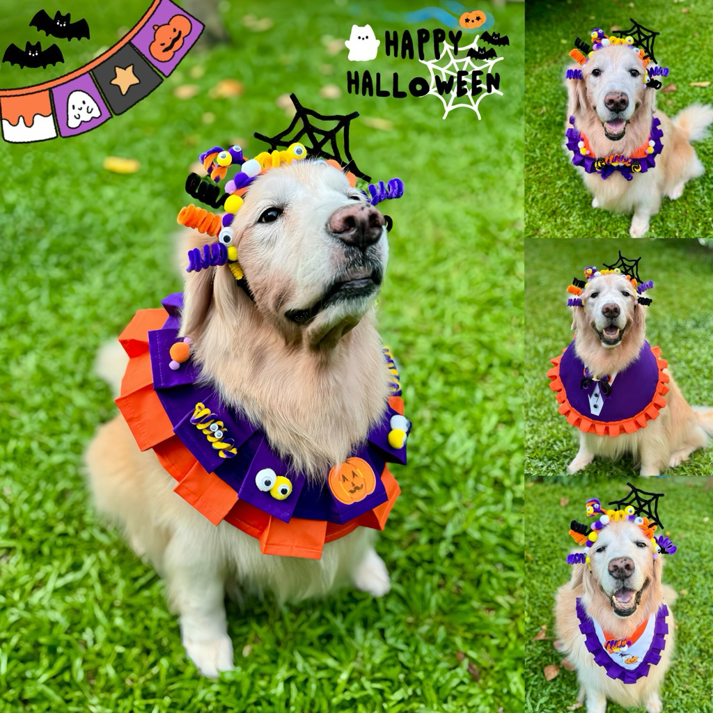 Ha-Shi SHOP ปลอกคอฮาโลวีน 2025 New