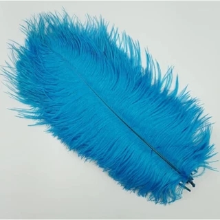 ขนนกกระจอกเทศ ยาว 20-24cm เส้นละ 16บาท
