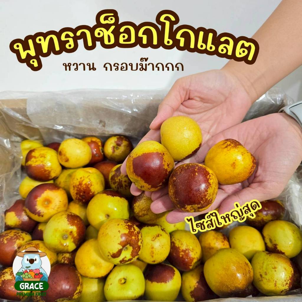 พรุทราช็อกโกแลต ไซส์คิง พรีเมี่ยม ลูกใหญ่หวานกรอบ เนื้อฟู