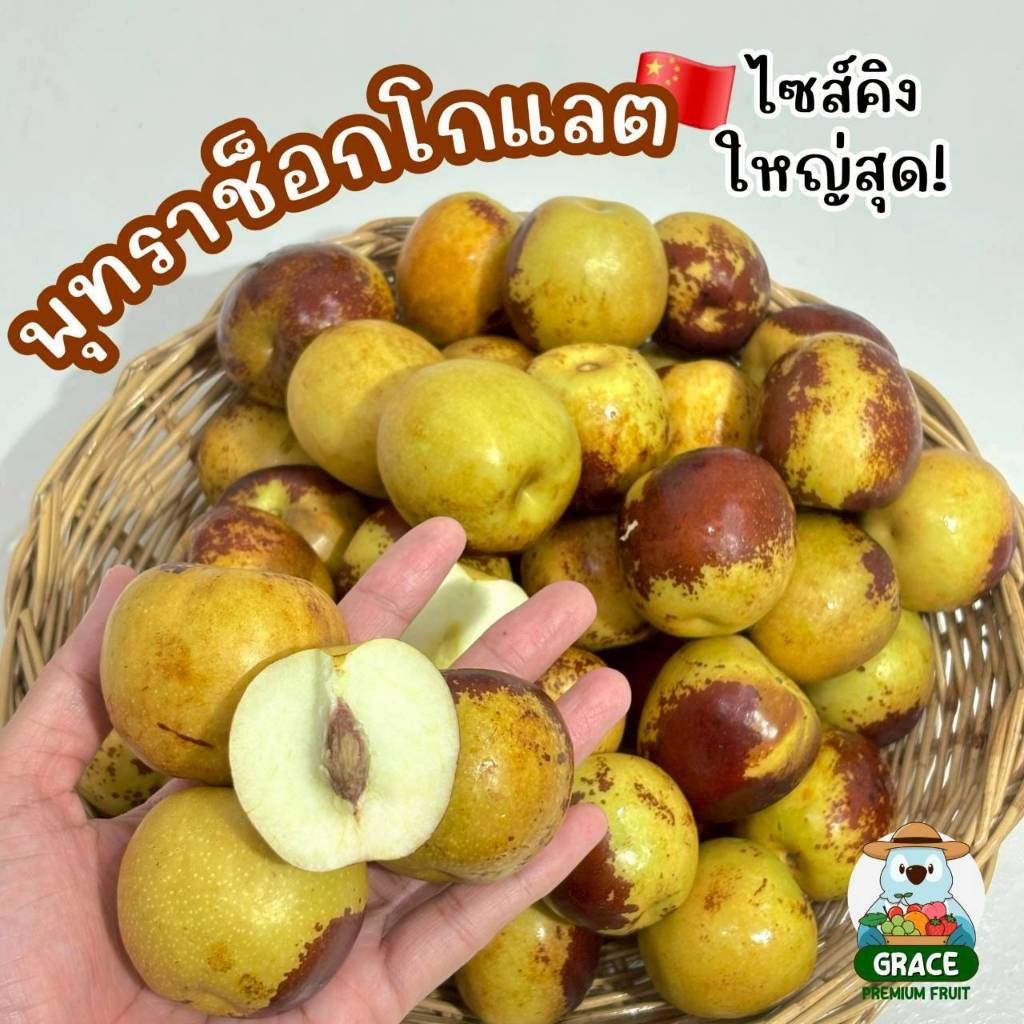 พุทราช็อกโกแลต ไซส์คิง เกรดพรีเมี่ยม หวานกรอบ เนื้อฟู