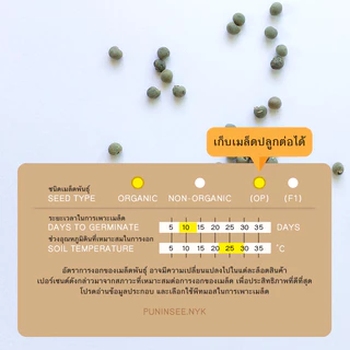 🏅เมล็ดนำเข้า เมล็ดกระเจี๊ยบ เขียว Clemson Spineless Okra seed (Organic Seed) AAS ไร้ขนแหลม ปันอินทรีย์