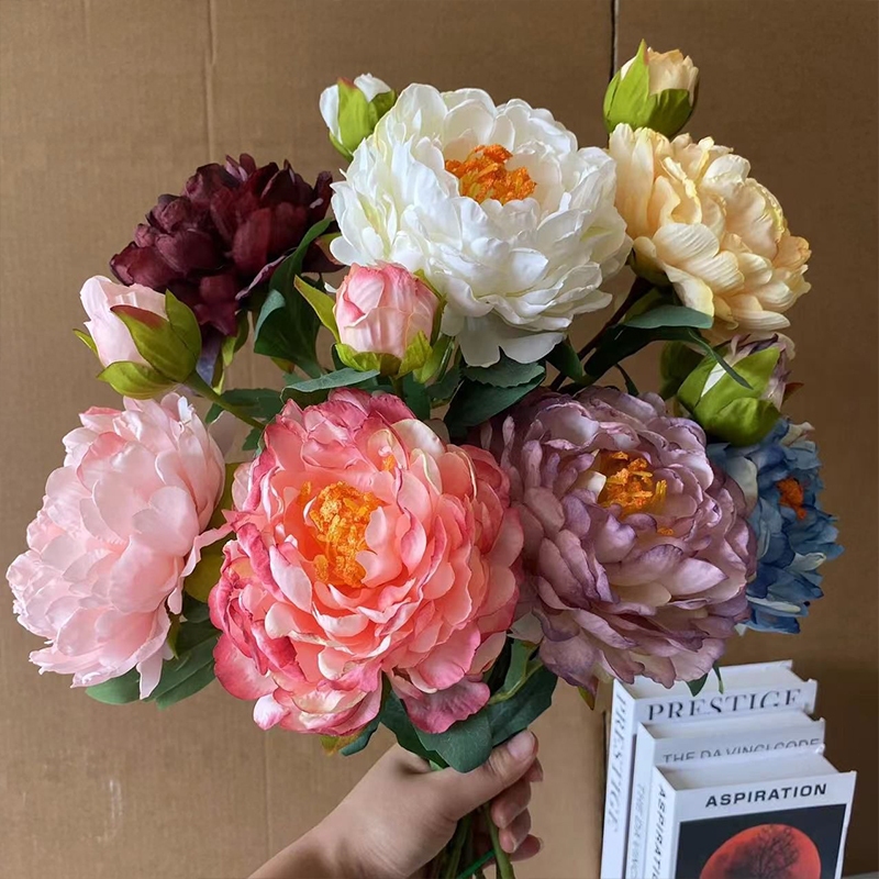 (จัดส่งภายใน 24 ชม)