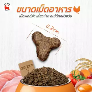 *1kg.* Gager กาเจอร์ HYDROLYZED PROTEIN HOLISTIC อาหารแมว