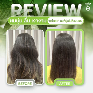 PURE PLANTS เพียว แพลนท์ แชมพูลดผมร่วง จากสมุนไพรใบหมี่ต้มสด สูตร 2 in 1