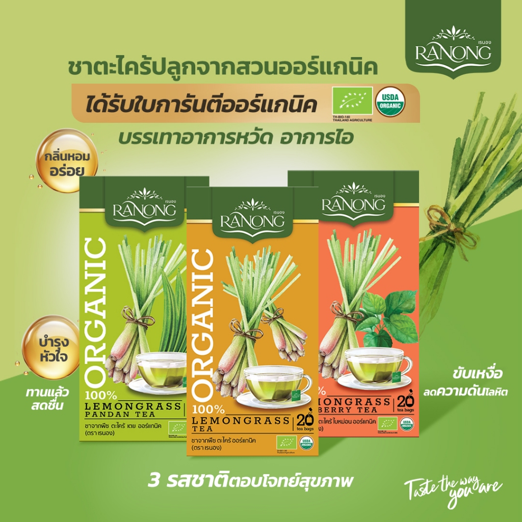 เรนองทีชาออร์แกนิค แพ็ค 3 รสชาติ