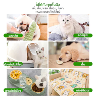 Petcho สเปรย์ดับกลิ่นสัตว์เลี้ยง ดับกลิ่นทรายแมว มีนวัตกรรมช่วยระงับกลิ่น 500ml