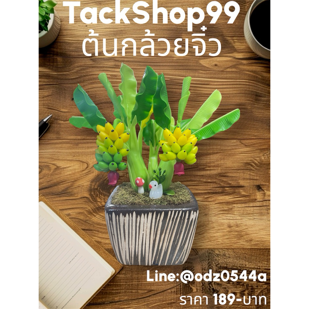 ต้นกล้วยประดิษฐ์จิ๋ว  ต้นไม้มงคล ประดิษฐ์ปั้นดินไทย (**เลือกกระถางไม่ได้ค่ะ**)