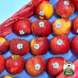 แอปเปิ้ลเอ็นวี่ Envy Apple อเมริกา ไซส์ L