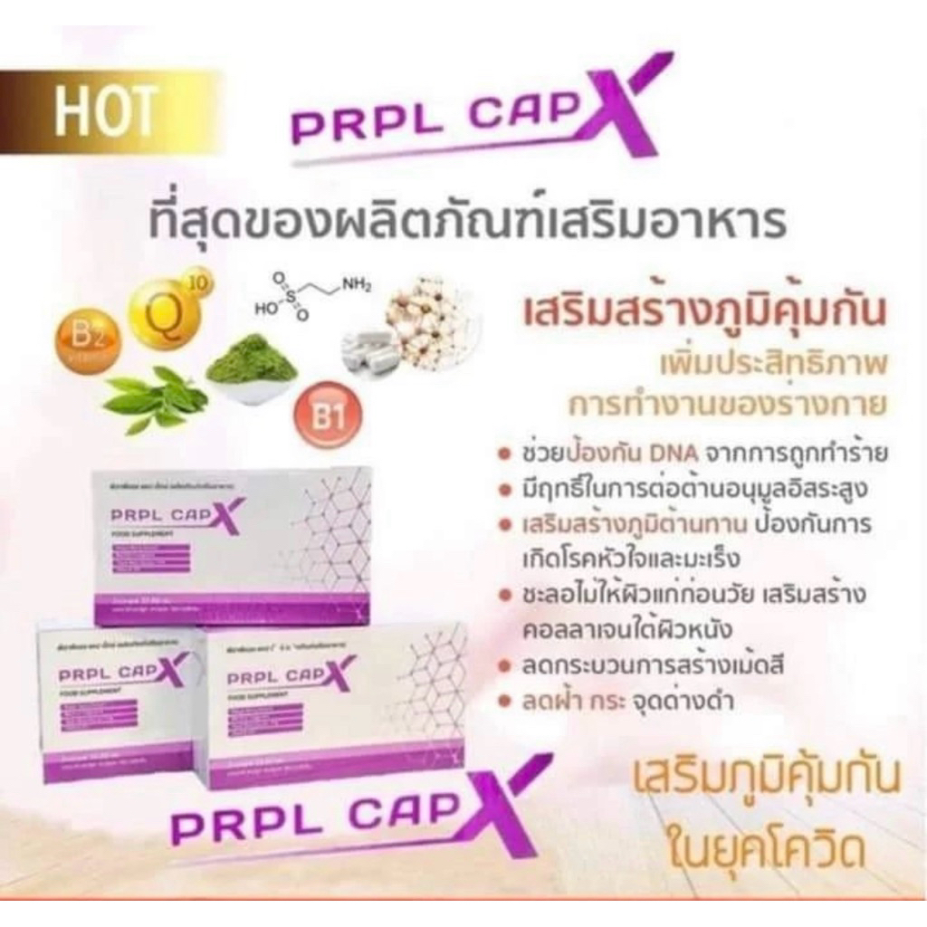 PRPL caps x (เพอเพิ้ลแคป)
