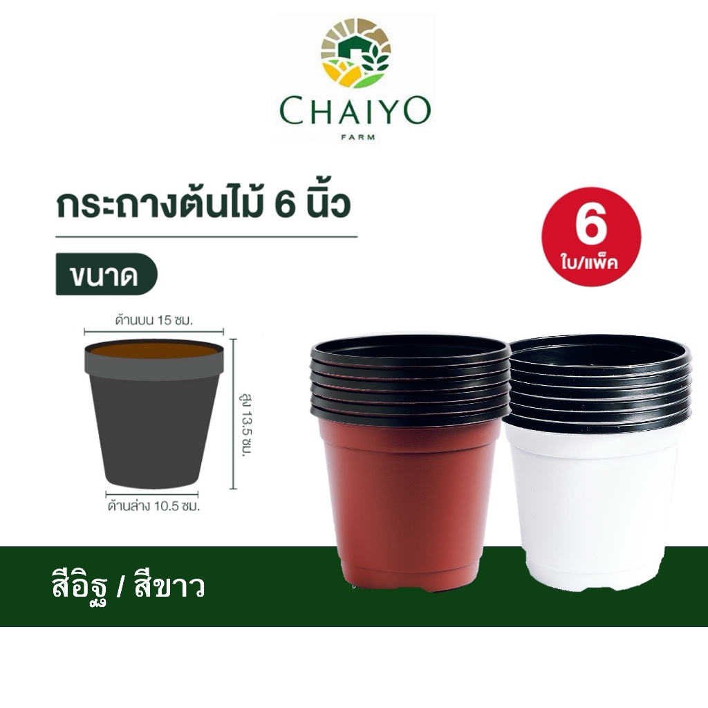 กระถางต้นไม้ 6 นิ้ว 6 ใบ POT 150 mm(6 inches) 6 pcs