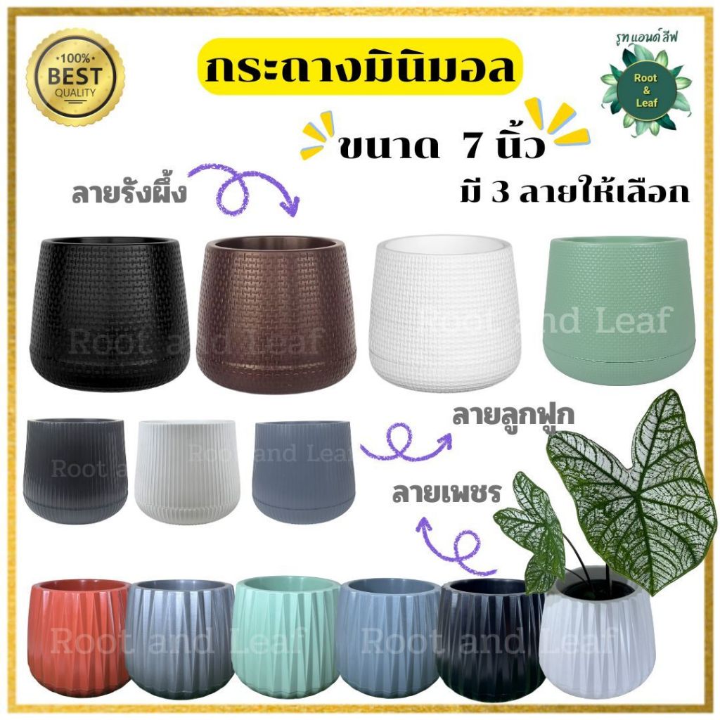 กระถางมินิมอล ขนาด 7 นิ้ว รวมลายสวยๆ สีน่ารัก สำหรับตกแต่งบ้าน ตกแต่งคอนโด