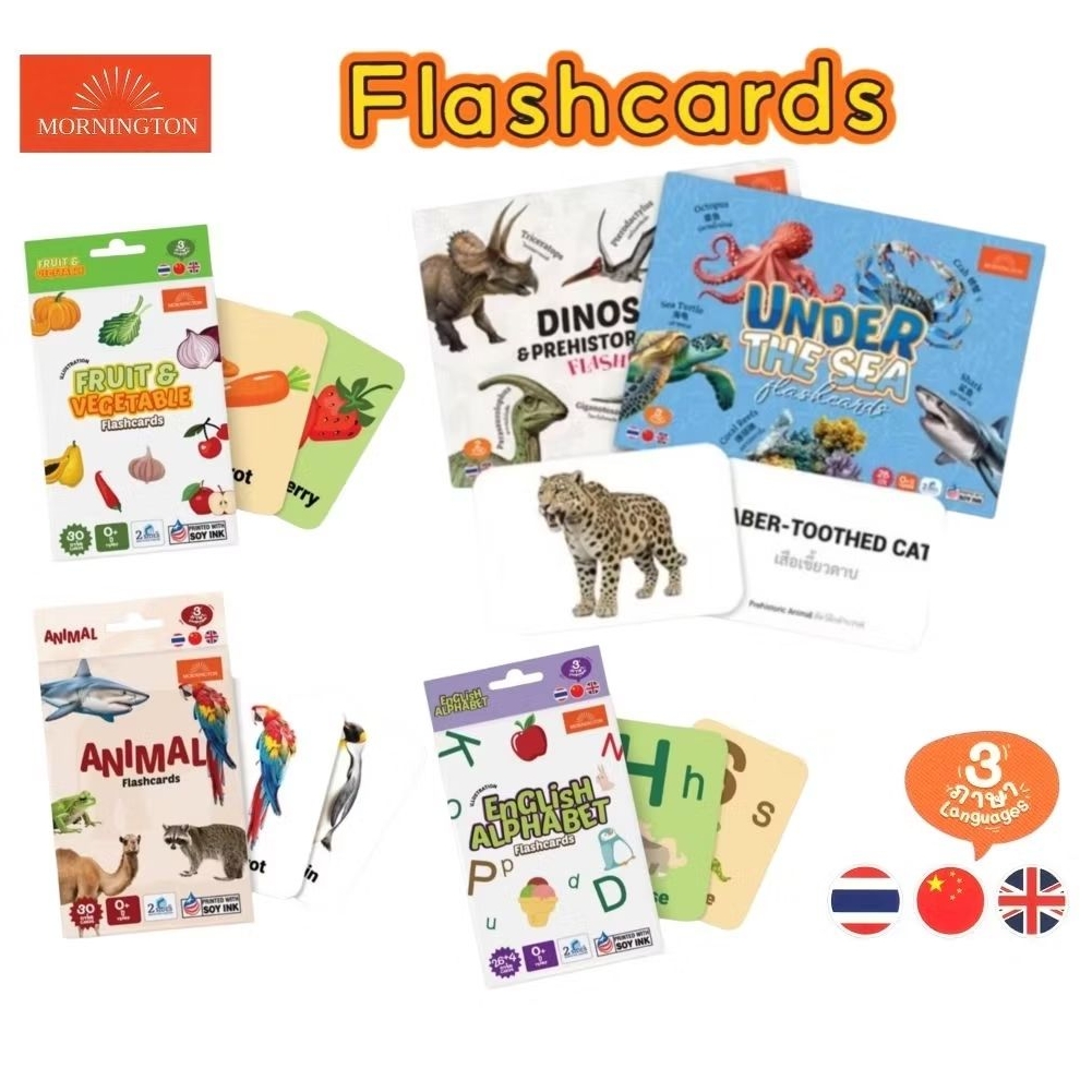 Mornington Flashcards ชุดการ์ดคำศัพท์ 3 ภาษา (ไทย-จีน-อังกฤษ) บัตรคำเสริมพัฒนาการเด็ก (ราคาต่อ 1 กล่อง)