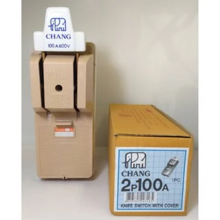 CHANG คัทเอาท์ 2P ขนาด 60A,100A