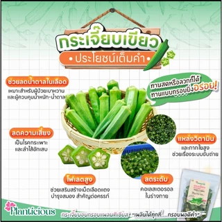 กระเจี๊ยบกรอบ พอดีคำ ทอดสุญญากาศไม่ใช้น้ำมัน (แพลนติเชียส) มีอย.อร่อยมาก 75กรัม