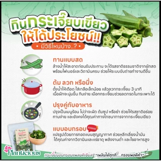 กระเจี๊ยบกรอบ พอดีคำ ทอดสุญญากาศไม่ใช้น้ำมัน (แพลนติเชียส) มีอย.อร่อยมาก 75กรัม