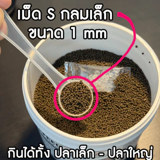 อาหารปลาที่ปลาทุกชนิดกินได้ INVAFEED เม็ดจมสำหรับสายขุนที่ต้องการเสริมโครงสร้าง สามารถให้ได้ทุกวัน!!