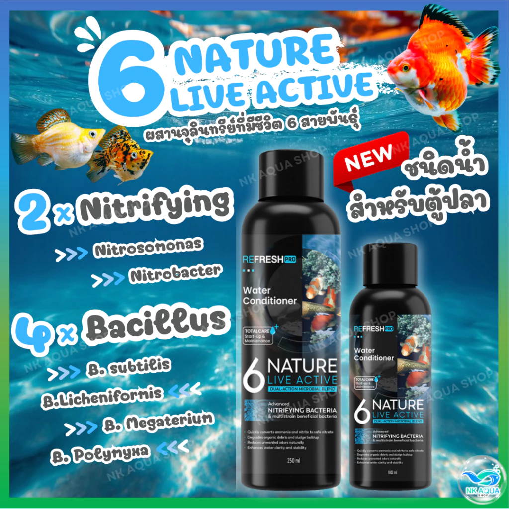 🆕 6NATURE จุลินทรีย์ตู้ปลา Nitrifying + Bacillus รวม 6 สายพันธุ์ น้ำใส ลดกลิ่น ตั้งตู้/บ่อปลา ไม้น้ำ กุ้ง