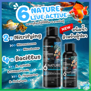 🆕 6NATURE จุลินทรีย์ตู้ปลา Nitrifying + Bacillus รวม 6 สายพันธุ์ น้ำใส ลดกลิ่น ตั้งตู้/บ่อปลา ไม้น้ำ กุ้ง