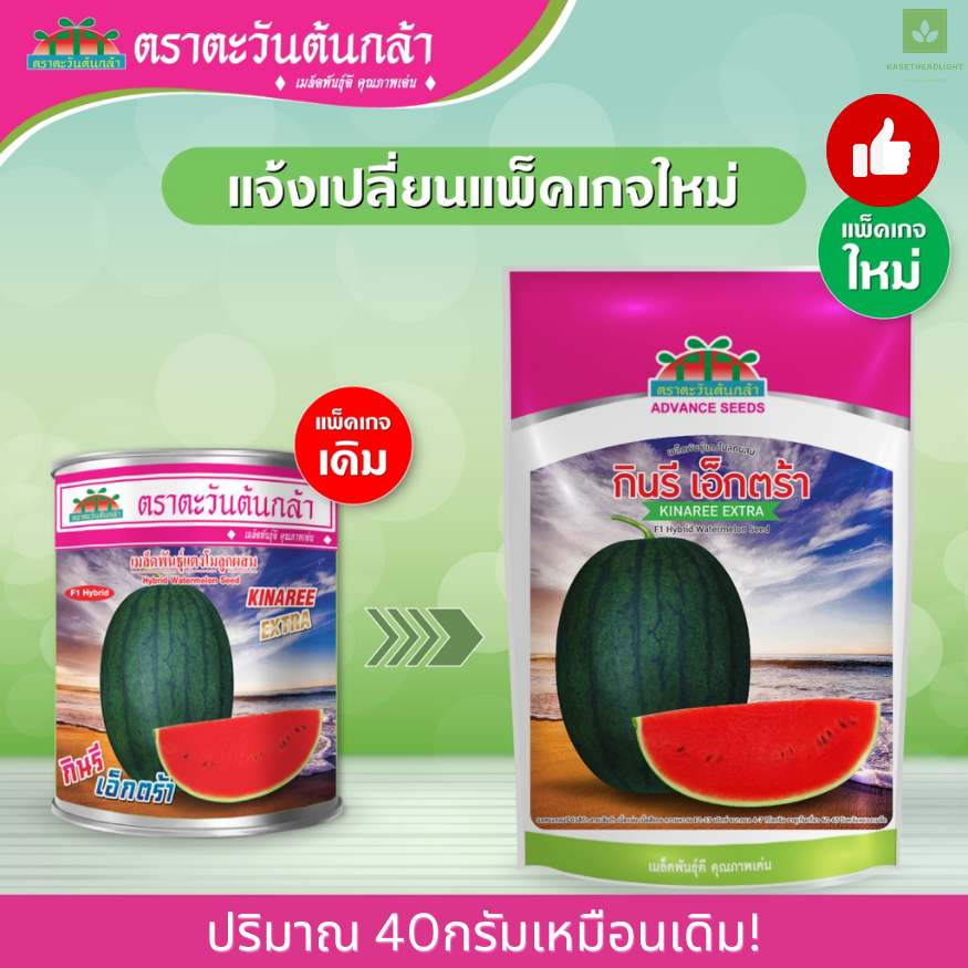กินรี เอ็กตร้า แตงโม 40กรัม ตราตะวันต้นกล้า กินรี เอ็กซ์ตร้า extra เมล็ดแตงโม แตงโมเอ็กตร้า