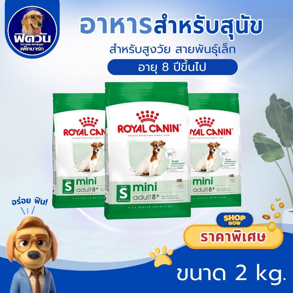 ROYAL CANIN MINI ADULT สุนัขโตพันธ์ุเล็ก 8 ปีขึ้นไป ขนาด 2 กิโลกรัม {อาหารสุนัขเม็ด}