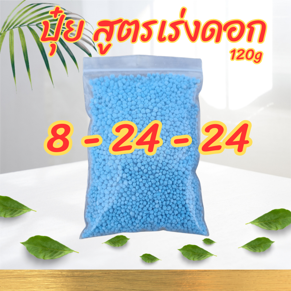 ปุ๋ย 8-24-24 สูตรเร่งดอก ขนาด 120 กรัม
