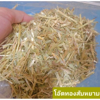 ✅️ขายดี 🌼โอ๊ตสีทอง หญ้าโอ๊ตทองออสเตรเลีย สำหรับกระต่ายและแกสบี้ 500 กรัมร่อนฝุ่น