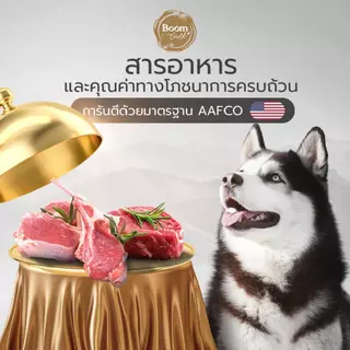 Boom Gold อาหารสุนัข รสเนื้อแกะ 1 KG เกรดพรีเมียม โปรตีนจากเนื้อสัตว์แท้ ช่วยบำรุงผิวหนังและขน ลดอาการแพ้ ด้วยกลูโคซามีน