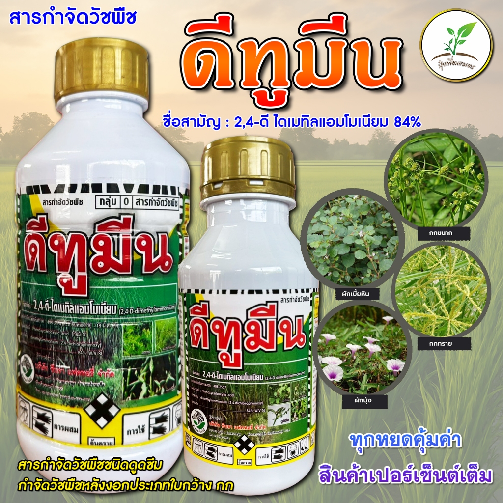 ดีทูมีน (2,4-ดี-ไดเมทิลแอมโมเนียม 84%) สารกำจัดวัชพืชประเภทดูดซึม กำจัดได้ทั้งใบกว้างและกก
