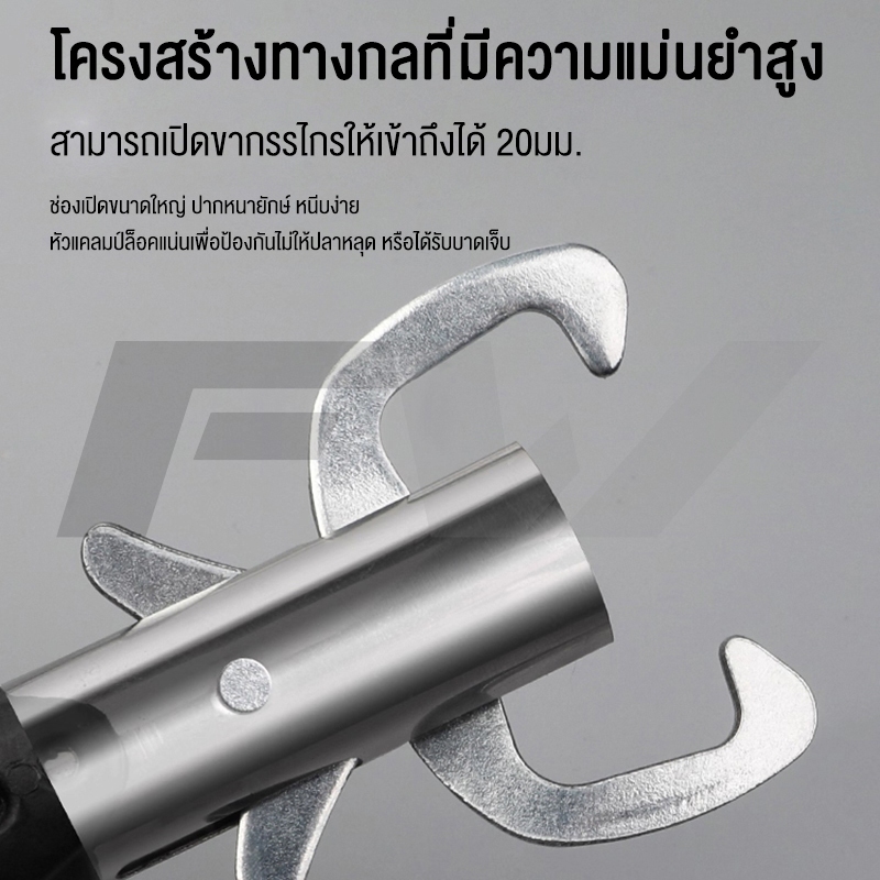 รูปภาพ 4