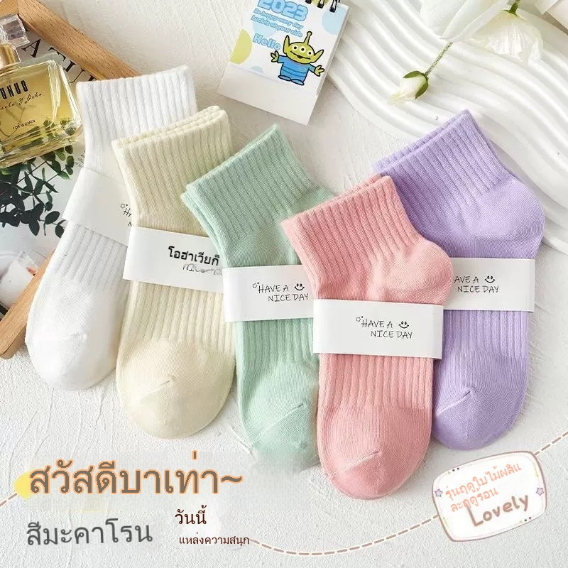 ถุงเท้าสีพาสเทล 10 คู่ สำหรับผู้หญิง ระบายอากาศดี ใส่สบาย น่ารัก ทนสมัย ส่งจากไทย