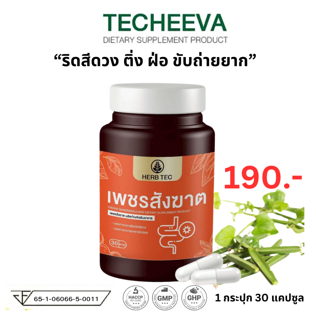 HERB TEC เพชรสังฆาต ริดสีดวง Hemorrhoids ติ่งยื่น ยุบ แห้ง ฝ่อ ท้องผูก ขับถ่ายยาก ริดสี 30 แคปซูล
