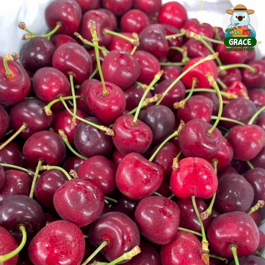ส่งรถเย็น 0-8 องศา Fresh Cherry 🍒 เชอรี่แทสมาเนีย จัมโบ้ สด ก้านเขียว หวานกรอบ - รูปที่ 2