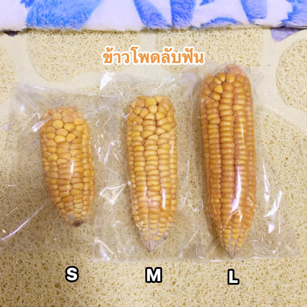 ข้าวโพดอบแห้งชนิดฝักลับฟันสัตว์เล็กทุกชนิด