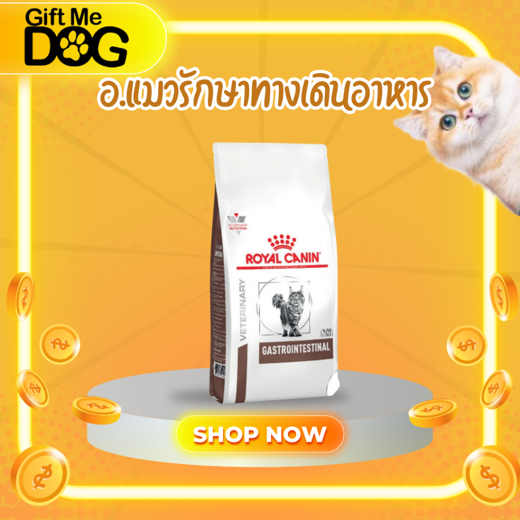 อาหารยาRoyal Canin Gastrointestinal แมว อาหารเม็ดแมวสูตรดูแลทางเดินอาหาร ขนาด400g-2kg