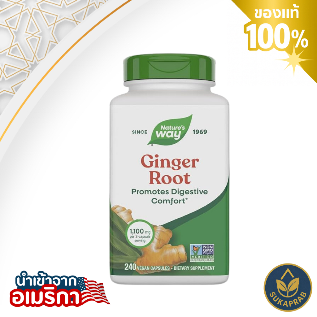 Nature's Way Ginger Root 100 & 240 Vegan Capsules ขิงสกัดบริสุทธิ์จากธรรมชาติ