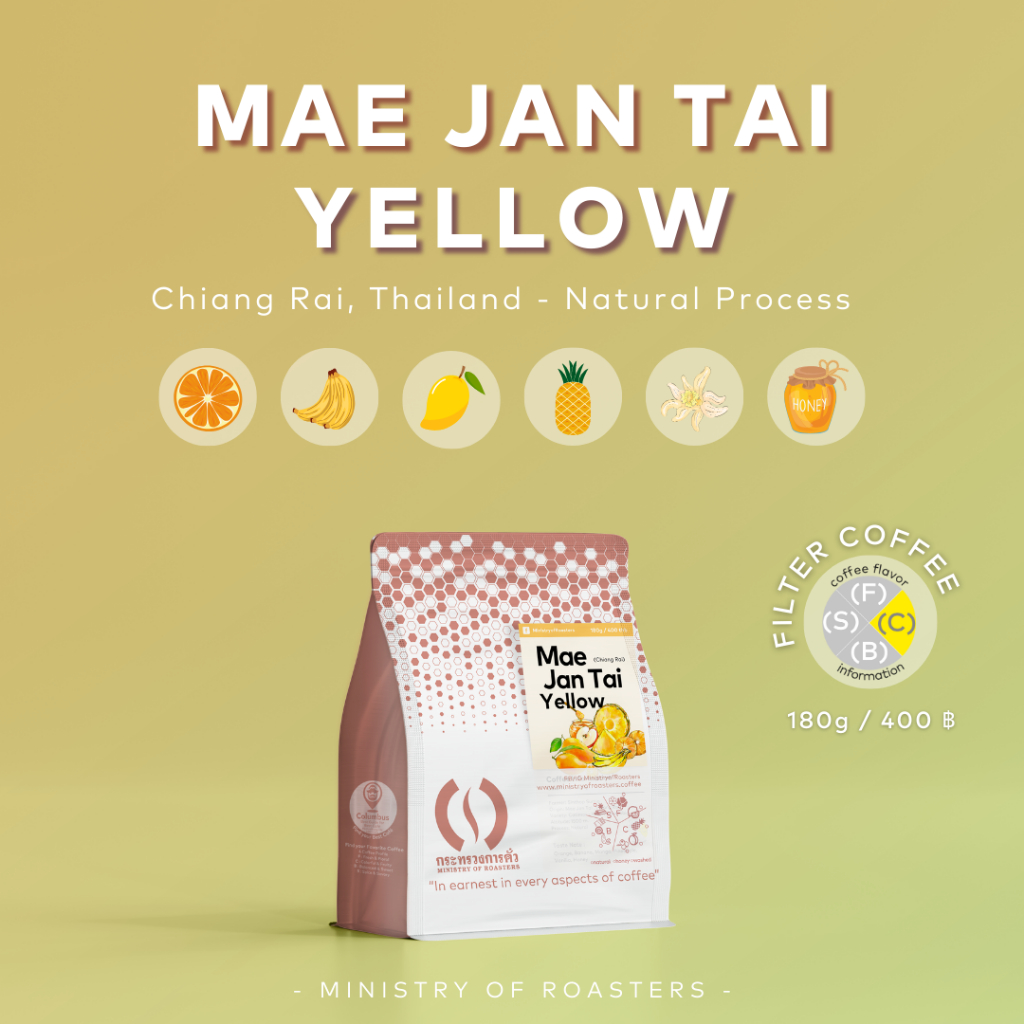 เมล็ดกาแฟ แม่จันใต้ เชียงราย  Mae Jan Tai Yellow , Chiang Rai