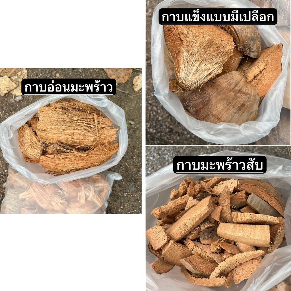 กาบมะพร้าว กาบมะพร้าวอ่อน กาบแข็ง กาบมะพร้าวสับ สินค้าพร้อมจัดส่ง