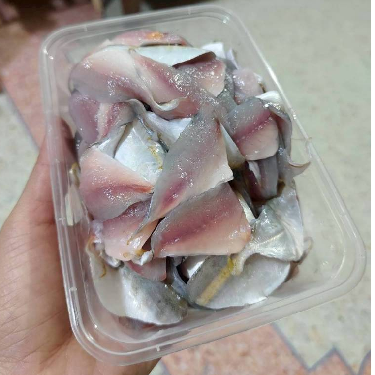 ปลาข้างทองหรือข้างเหลืองสดๆ500 กรัม ขนส่งเเช่เย็นทั่วประเทศ
