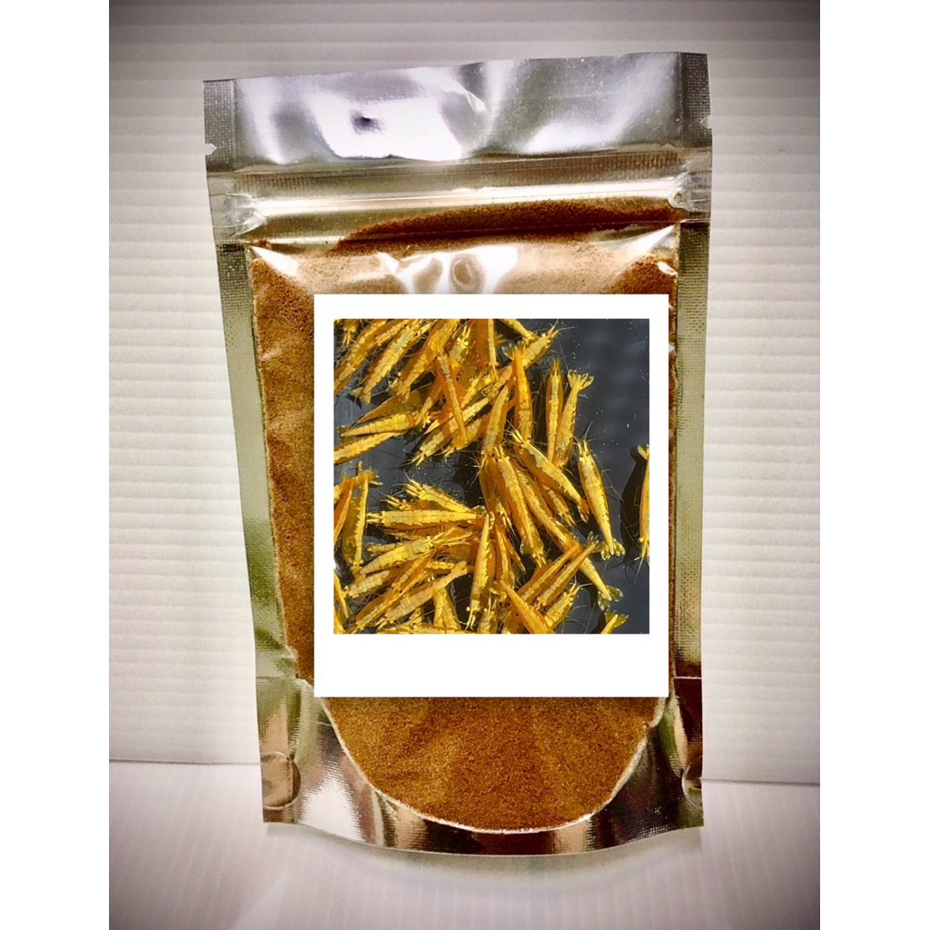 อาหารกุ้งแคระ เหลืองหลังทอง 10แถม2 รับประกันตลอดการจัดส่ง