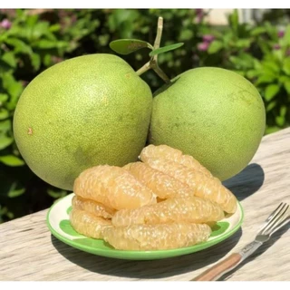 ส้มโอขาวน้ำผึ้งตัดสดใหม่จากสวน PPY