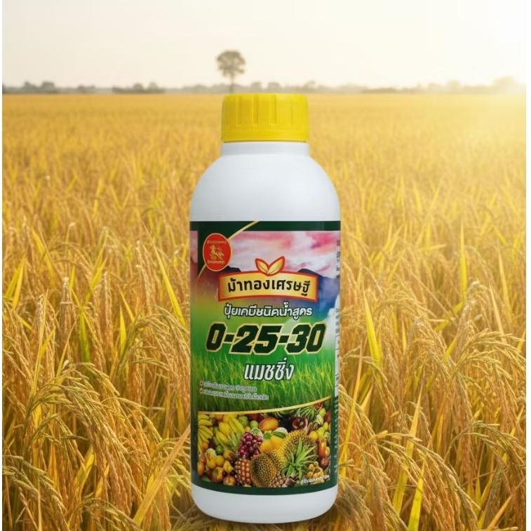 ปุ๋ยน้ำ0-25-30 แมชชิ่งตราม้าทองเศรษฐีสูตรลมเบ่งข้าว เปิดตาดอกผลไม้ สะสมอาหาร เพิ่มความหวานเพิ่มขนาดเพิ่มแป้งเพิ่มน้ำตาล
