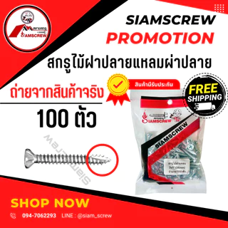 สกรูยิงไม้ฝาและเชิงชาย หัวคว้าน หัวจม (100ตัว)