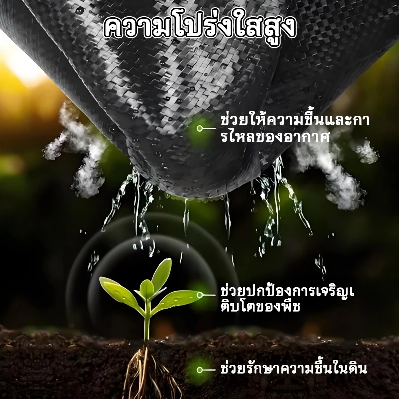 พลาสติกคลุมวัชพืช ผ้าคลุมหญ้า ผ่านการทดลองใช้งานจริง ฆ่าหญ้า1×5 1×20 2×50 1×100 2×100 3×100 กำจัดหญ้า พลาสติกคลุมดิน ราคา ถูกที่สุด ดีลบีเคเค แกลเลอรีภาพที่ 5