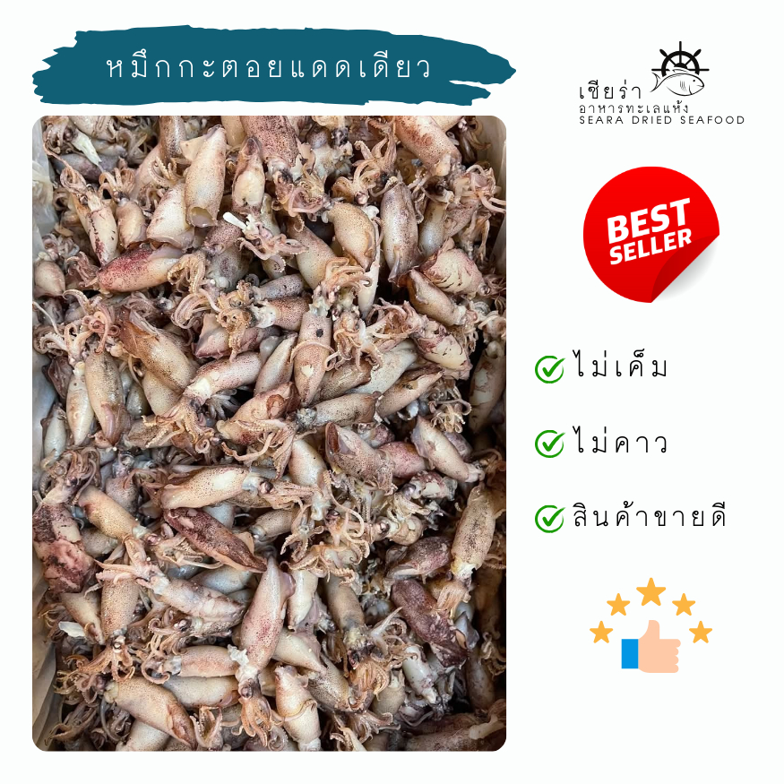 หมึกกะตอยแดดเดียว หมึกกะตอยต้ม กึ่งแห้งกึ่งแดดเดียว