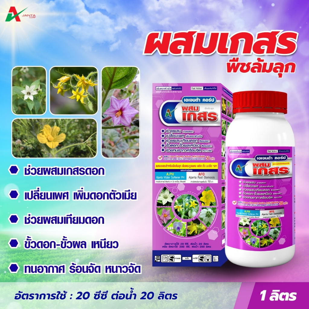 ผสมเกสร ผสมเทียม สูตรพืชล้มลุก เปลี่ยนเพศ เพิ่มดอกตัวเมีย ติดผลดก แตง พริก ถั่ว มะเขือ เอเจนต้าคอร์ป