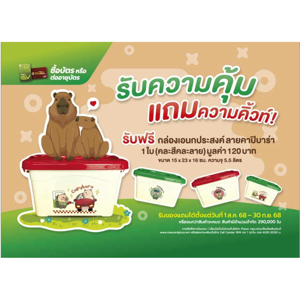 บัตรแดง PT Max Card Plus ❗️รับฟรีกล่องอเนกประสงค์ ลายคาปิบาร่า