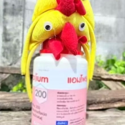 ฝาแดงช้อนแดง แอมโพ 500 กรัม