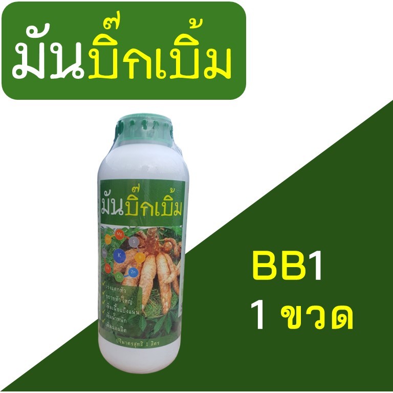 มันบิ๊กเบิ้ม (BigBerm, BB1) ปุ๋ยน้ำทาง ระเบิดหัวมัน แตกหัว เร่งราก หัวใหญ่ เพิ่มแป้ง เพิ่มน้ำหนัก เพิ่มผลผลิต ขวด 1 ลิตร